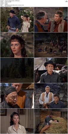 Bonanza S01 14 DVDRip XviD x264-SCENE