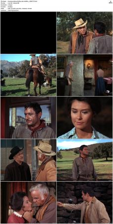 Bonanza S01-S14 DVDRip XviD x264-SCENE