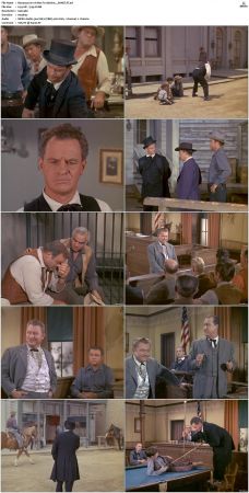 Bonanza S01 14 DVDRip XviD x264-SCENE