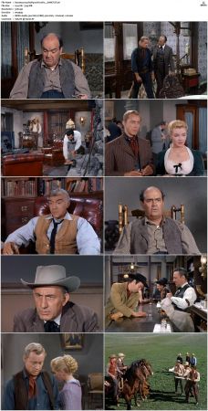 Bonanza S01 14 DVDRip XviD x264-SCENE