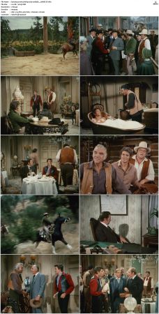 Bonanza S01-S14 DVDRip XviD x264-SCENE