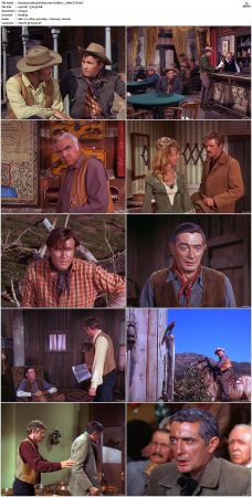 Bonanza S01-S14 DVDRip XviD x264-SCENE