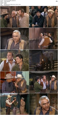 Bonanza S01 14 DVDRip XviD x264-SCENE
