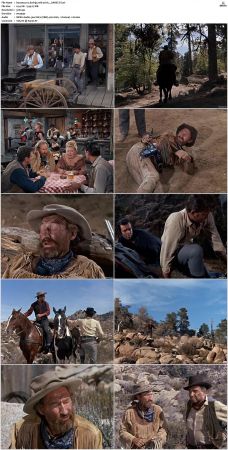 Bonanza S01 14 DVDRip XviD x264-SCENE