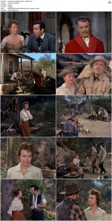 Bonanza S01 14 DVDRip XviD x264-SCENE