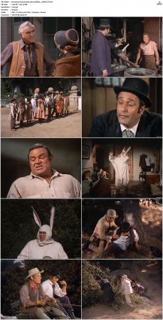 Bonanza S01-S14 DVDRip XviD x264-SCENE