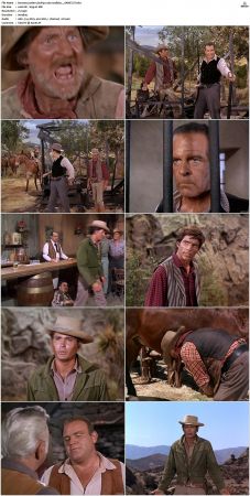 Bonanza S01-S14 DVDRip XviD x264-SCENE