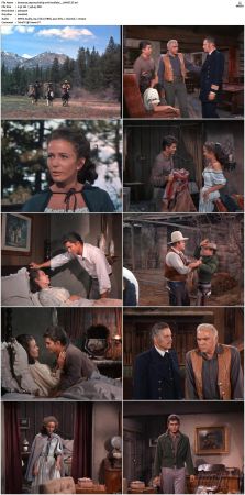 Bonanza S01 14 DVDRip XviD x264-SCENE