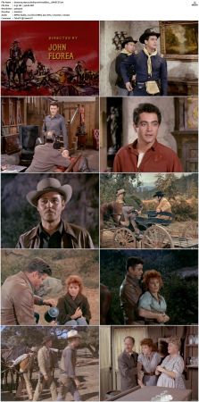 Bonanza S01-S14 DVDRip XviD x264-SCENE