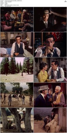 Bonanza S01-S14 DVDRip XviD x264-SCENE