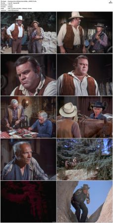 Bonanza S01-S14 DVDRip XviD x264-SCENE