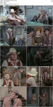 Bonanza S01-S14 DVDRip XviD x264-SCENE
