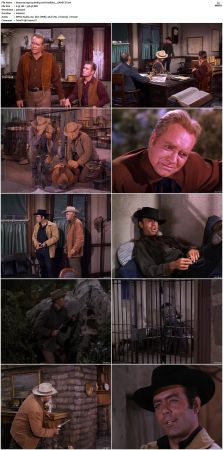 Bonanza S01 14 DVDRip XviD x264-SCENE