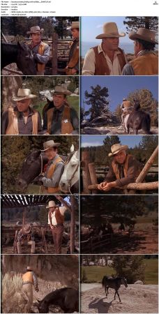 Bonanza S01-S14 DVDRip XviD x264-SCENE