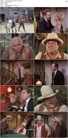 Bonanza S01-S14 DVDRip XviD x264-SCENE