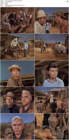 Bonanza S01 14 DVDRip XviD x264-SCENE