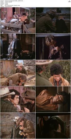 Bonanza S01-S14 DVDRip XviD x264-SCENE