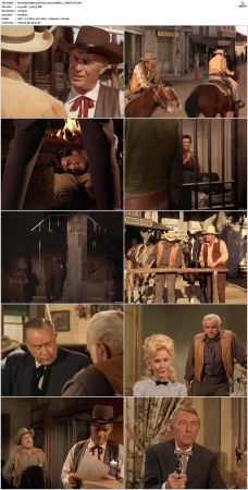 Bonanza S01-S14 DVDRip XviD x264-SCENE