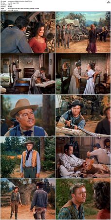 Bonanza S01 14 DVDRip XviD x264-SCENE