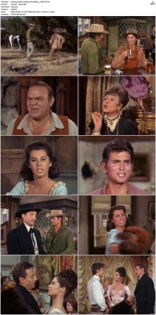 Bonanza S01 14 DVDRip XviD x264-SCENE