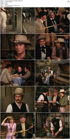 Bonanza S01-S14 DVDRip XviD x264-SCENE