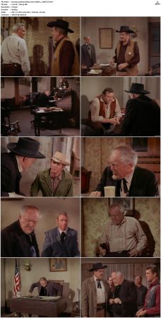 Bonanza S01-S14 DVDRip XviD x264-SCENE