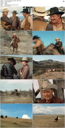 Bonanza S01-S14 DVDRip XviD x264-SCENE