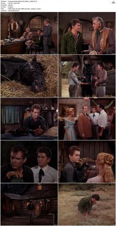 Bonanza S01 14 DVDRip XviD x264-SCENE
