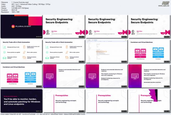 Security Engineering: Secure Endpoints