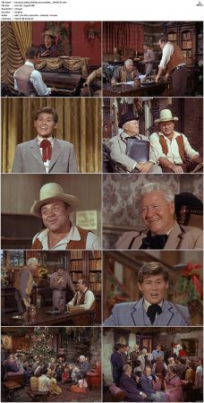 Bonanza S01-S14 DVDRip XviD x264-SCENE