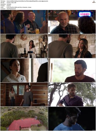Walker S01 S04 1080p BluRay WEB DDP 5 1 x265-edge2020