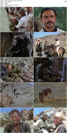 Bonanza S01-S14 DVDRip XviD x264-SCENE