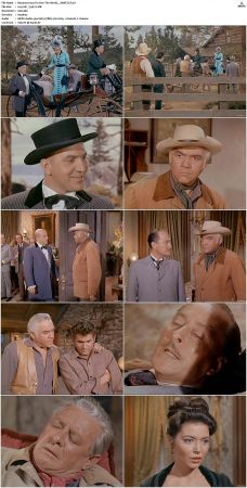 Bonanza S01 14 DVDRip XviD x264-SCENE