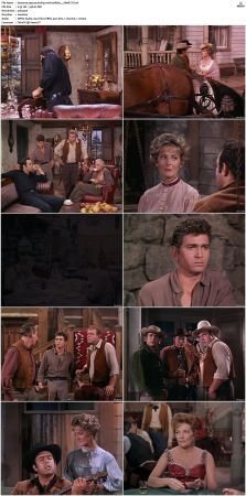 Bonanza S01 14 DVDRip XviD x264-SCENE