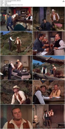 Bonanza S01-S14 DVDRip XviD x264-SCENE