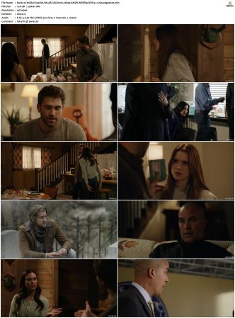 Walker S01-S04 1080p BluRay WEB DDP 5.1 x265-edge2020
