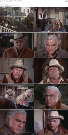 Bonanza S01-S14 DVDRip XviD x264-SCENE