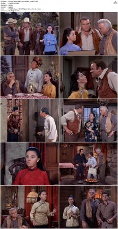 Bonanza S01-S14 DVDRip XviD x264-SCENE