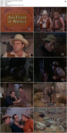 Bonanza S01 14 DVDRip XviD x264-SCENE