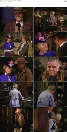 Bonanza S01-S14 DVDRip XviD x264-SCENE