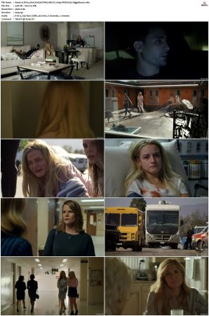 Dirty John S01 MULTI 2160p WEB H265-HiggsBoson
