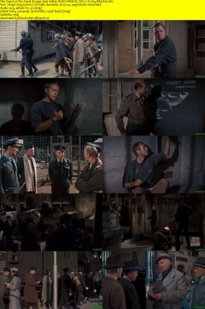 The Great Escape 1963 1080p ROKU WEB-DL DD 5.1 H264-PiRaTeS