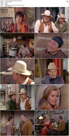 Bonanza S01-S14 DVDRip XviD x264-SCENE