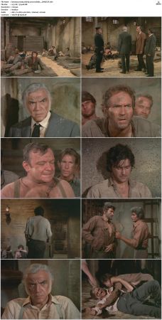 Bonanza S01-S14 DVDRip XviD x264-SCENE