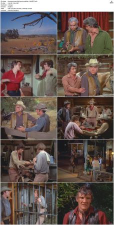 Bonanza S01-S14 DVDRip XviD x264-SCENE