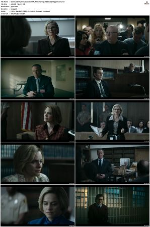 Dirty John S02 MULTI 2160p WEB H265-HiggsBoson