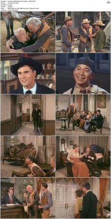 Bonanza S01-S14 DVDRip XviD x264-SCENE