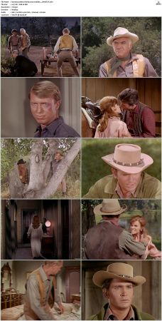 Bonanza S01-S14 DVDRip XviD x264-SCENE