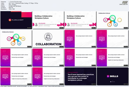 Building a Collaborative Workplace Culture