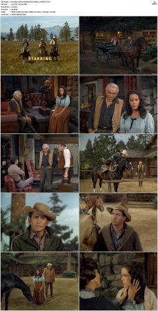 Bonanza S01-S14 DVDRip XviD x264-SCENE